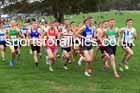 Senior Mens relay, 2025 Northern Cross Country Relays, Graves Park, Sheffield. Photo: David T. Hewitson/Sports for All Pics